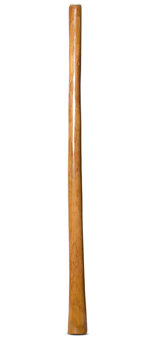 Gloss Finish Didgeridoo (TW1143)